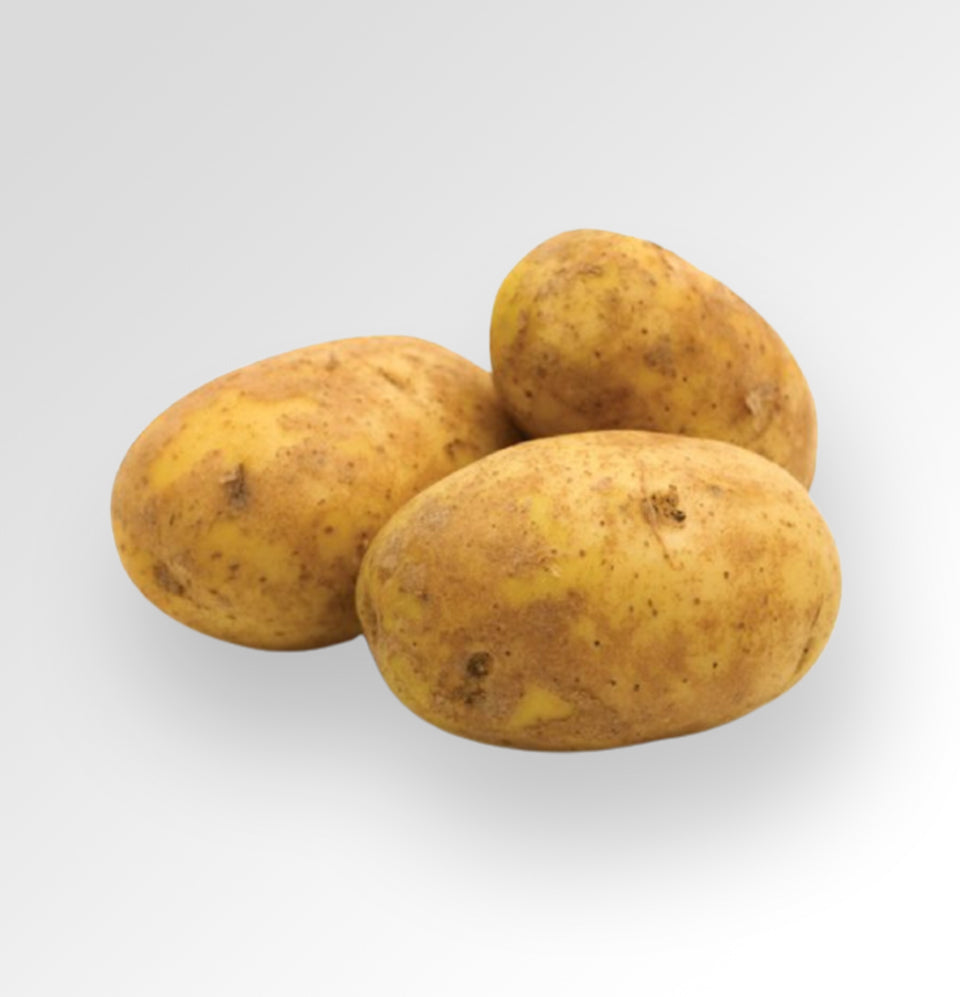Agria Potato